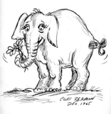 Elephant drawing_7x7_72(1)